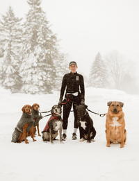 Woman walks several dogs on leashes on a road with autumn foliage.