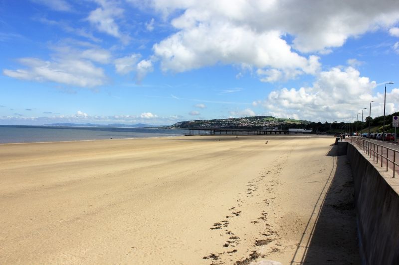 there are footprints in the sand on the beach .