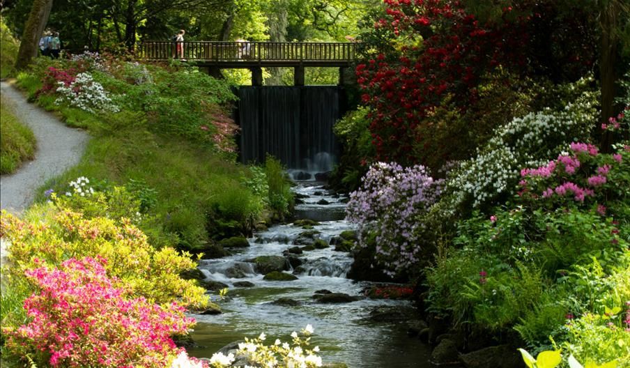 there is a bridge over a stream in the middle of a garden surrounded by flowers .