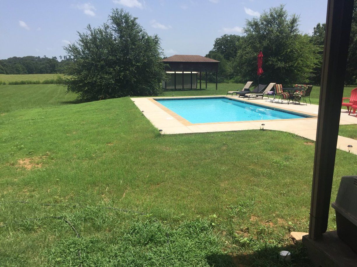 A rectangular swimming pool surrounded by green grass, with trees in the background under a blue sky.