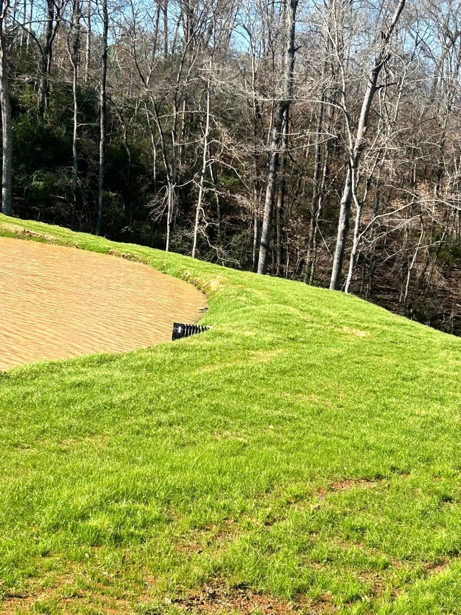 Green lawn slopes down to a sand-colored area. Trees in the background. Sunny day.