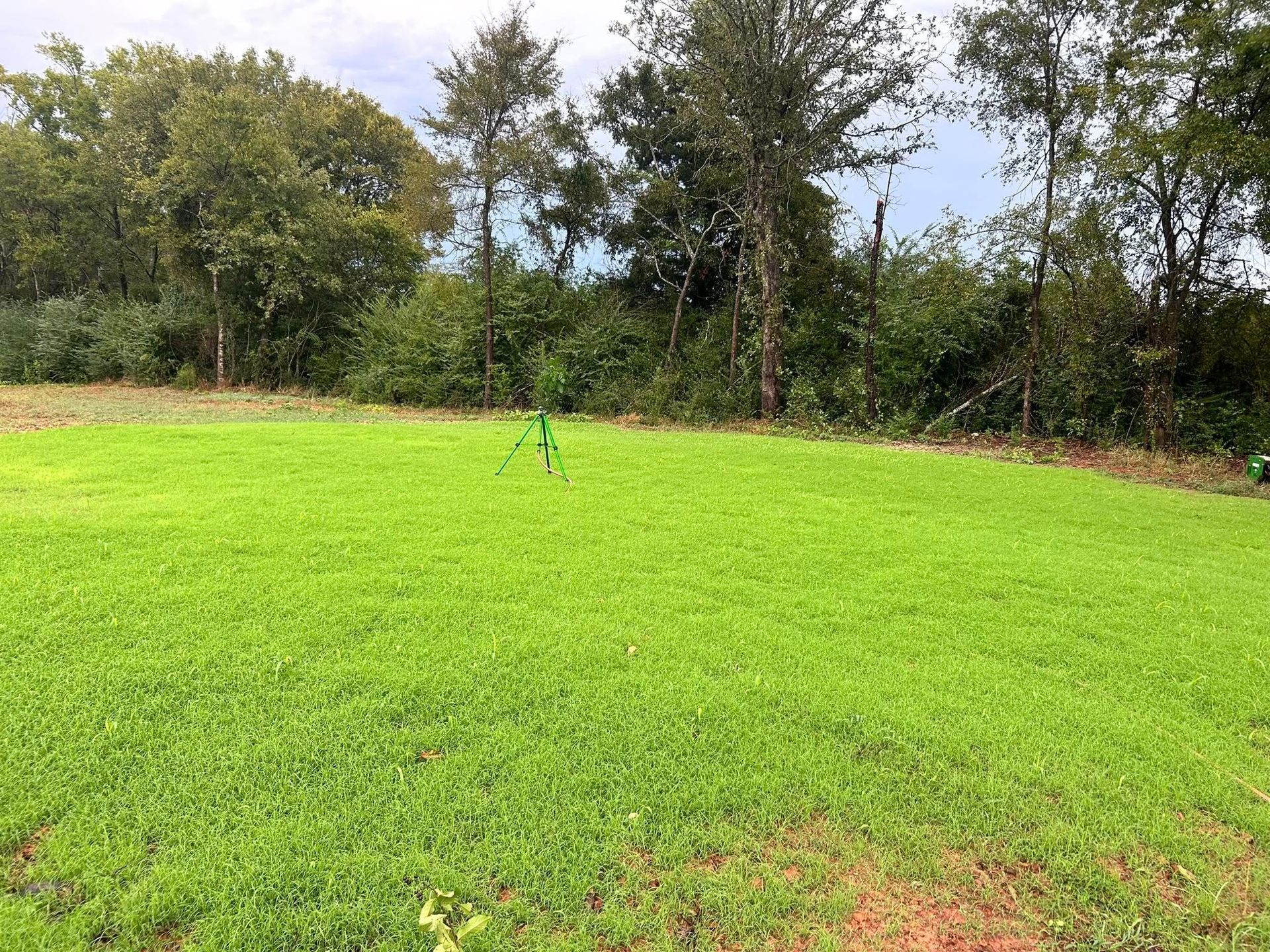Green lawn with a green sprinkler, backed by trees and a cloudy sky.
