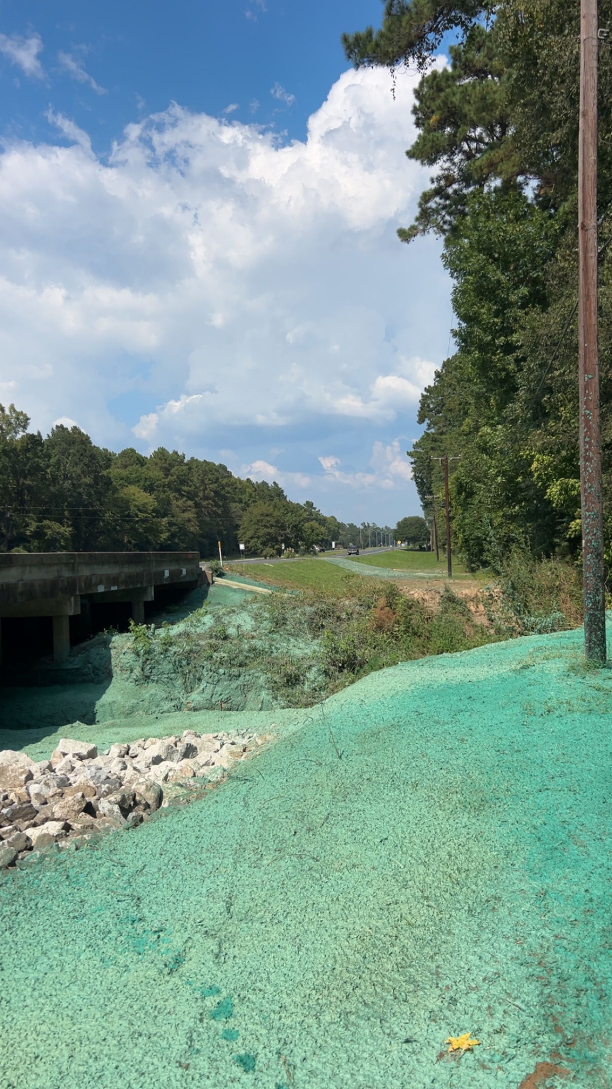 A green, grassy bank beside a water channel, with a bridge on the left and trees along the horizon.
