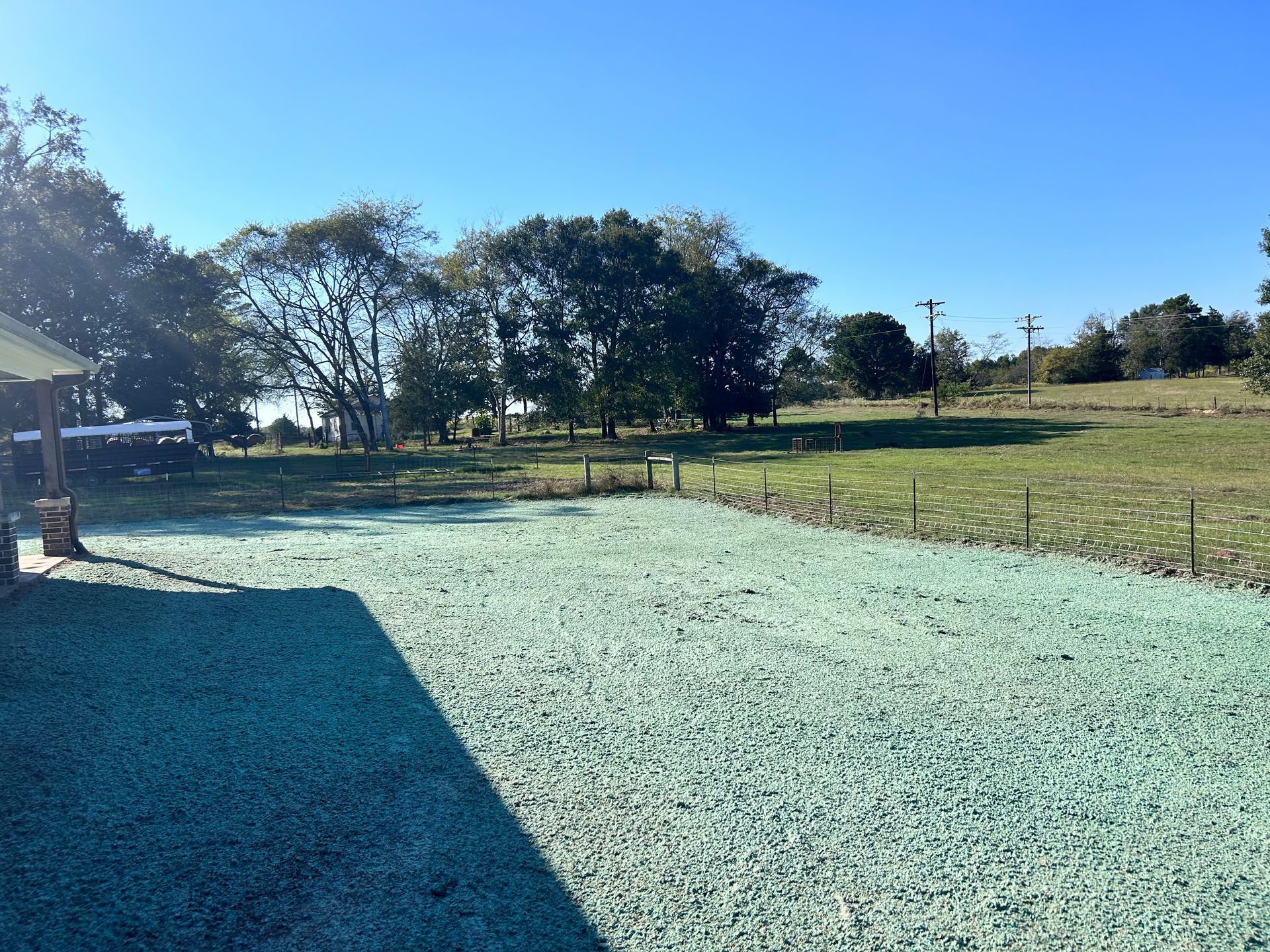 A grassy yard with a green surface, trees, and a clear blue sky.