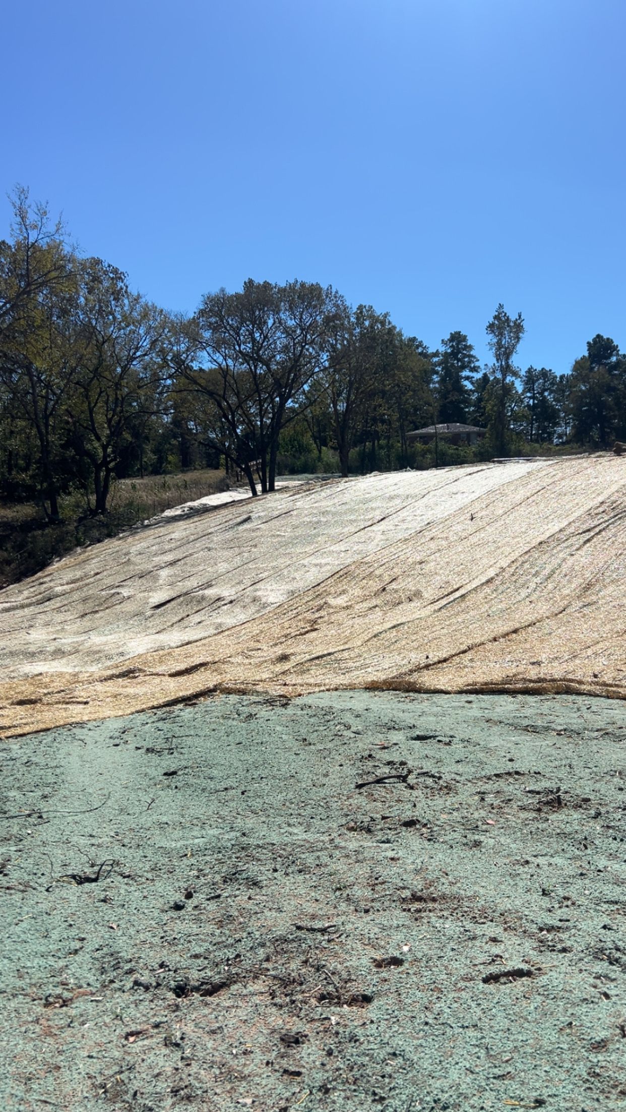 Eroded hillside with blue, tan, and green sections, trees in background, against a blue sky.