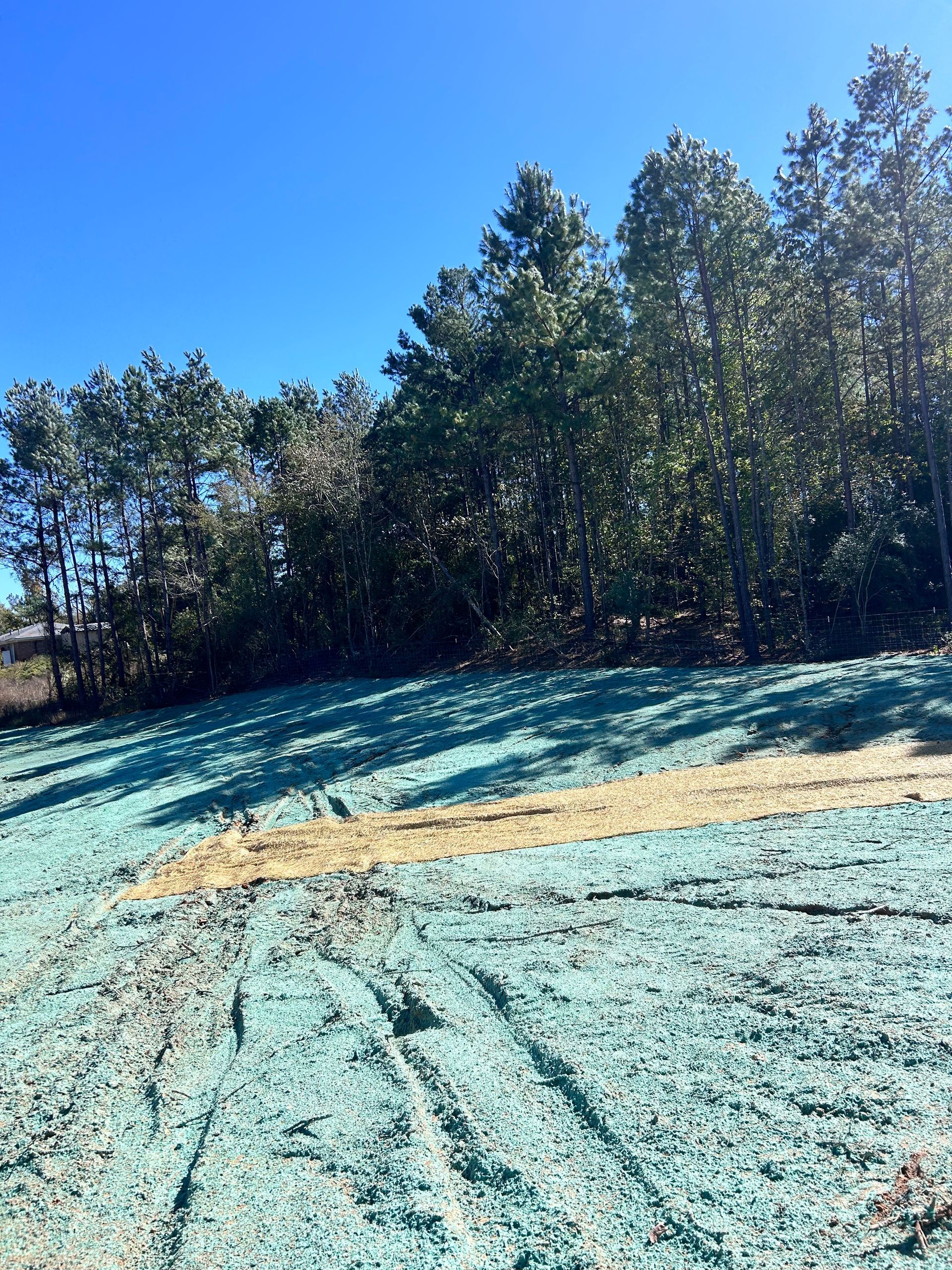 Newly seeded hillside, covered in green mulch, with trees and a blue sky.