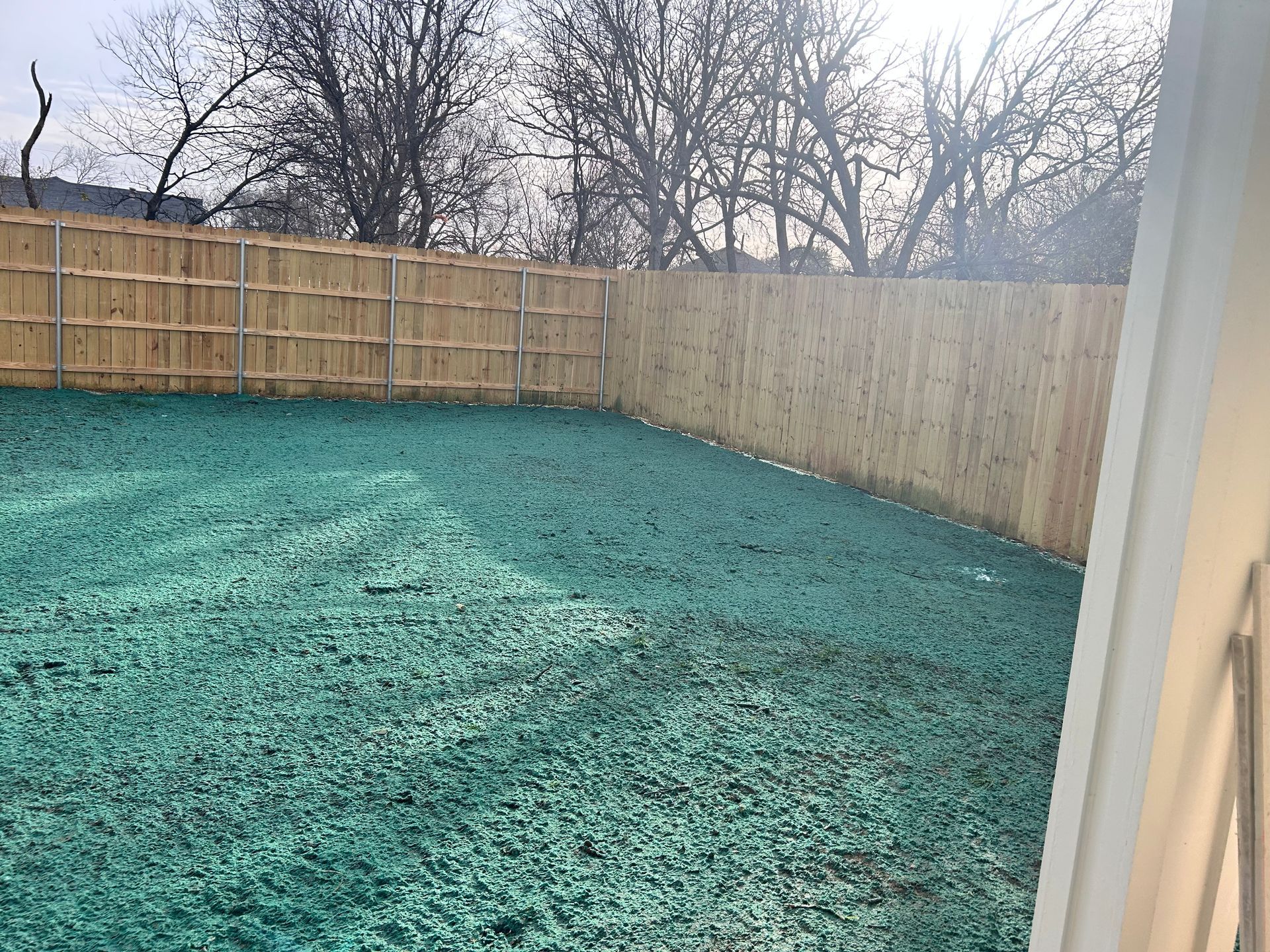 Backyard with artificial green turf and bamboo fence. Bare trees in background.