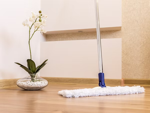 Domestic cleaning services