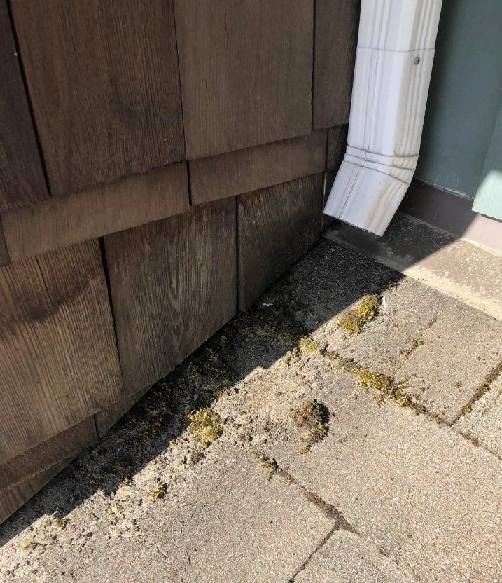 downspout gutter