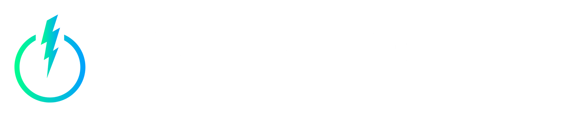 Burning Daylight Energy: Solar Experts, logo no background