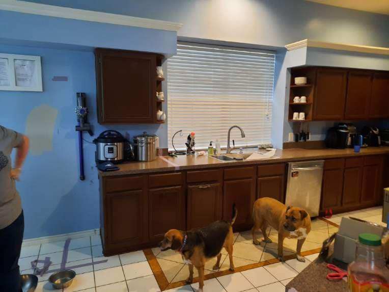 Kitchen with brown cabinets, blue wall, window with blinds. Two dogs stand on the floor.