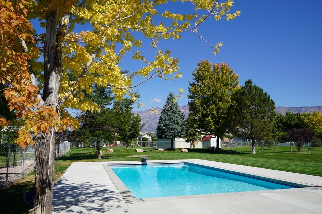 Pool with clear blue water surrounded by green grass and trees with yellow and orange leaves under a blue sky.