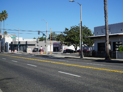 Sunny street with parked cars, palm trees, and low buildings along a quiet urban road.