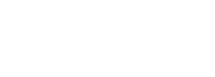 Mostly white blank image with a thin black horizontal line near the bottom and a small dark square at the top left