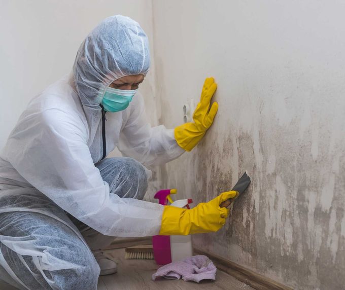 Mold Removal and Prevention Services - ServiceMaster by Gadonniex Mold Removal and Prevention Services - ServiceMaster by Gadonniex