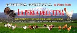 Azienda Agricola La Perla dell'Etna eredi di Riolo Pietro - LOGO Azienda Agricola La Perla dell'Etna eredi di Riolo Pietro - LOGO