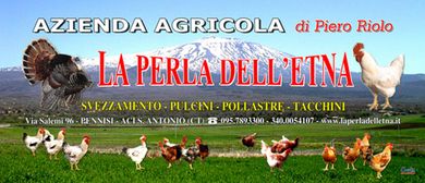 Azienda Agricola La Perla dell'Etna eredi di Riolo Pietro - LOGO Azienda Agricola La Perla dell'Etna eredi di Riolo Pietro - LOGO