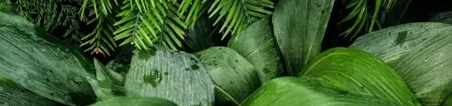 MM Gardening Limited
