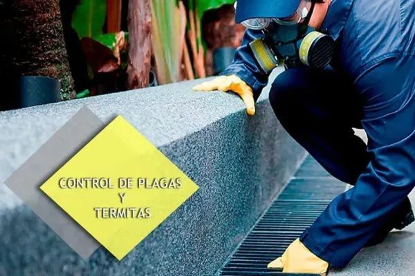 CONTROL DE PLAGAS URBANAS DE NAYARIT