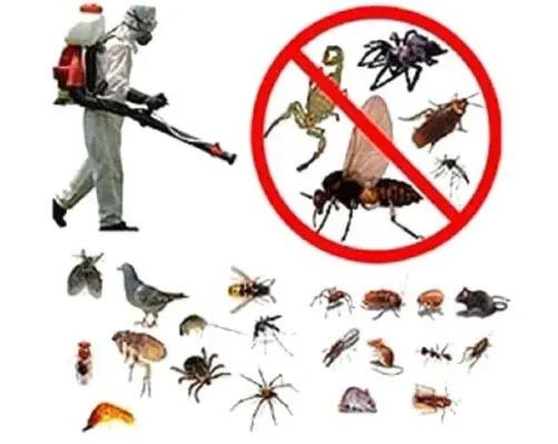 CONTROL DE PLAGAS URBANAS DE NAYARIT