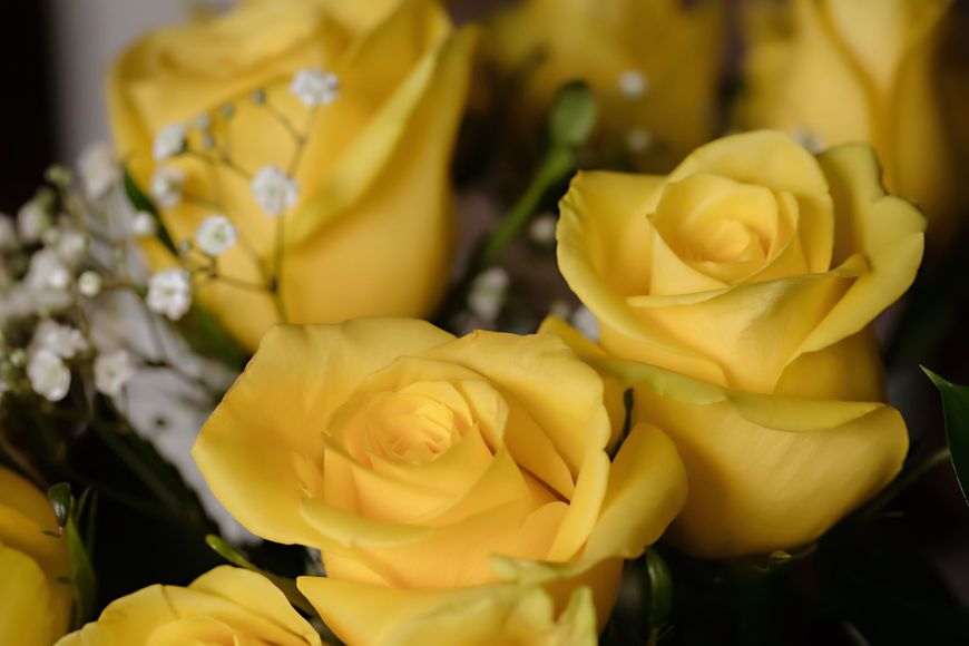 Fiori