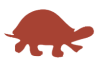 pictogram schildpad