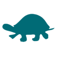 pictogram schildpad