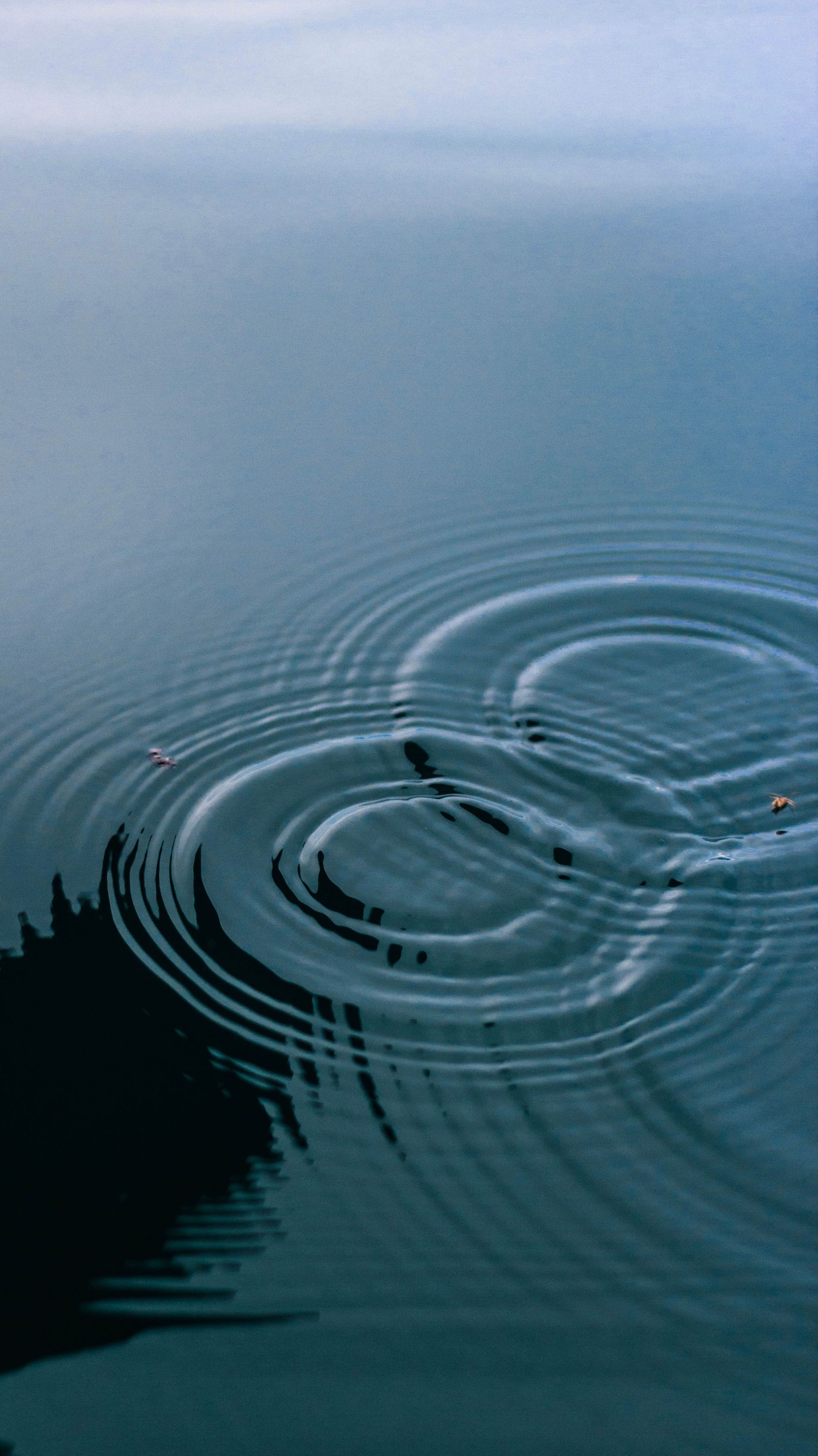 Dark blue water with concentric ripples spreading from a small disturbance near the shore