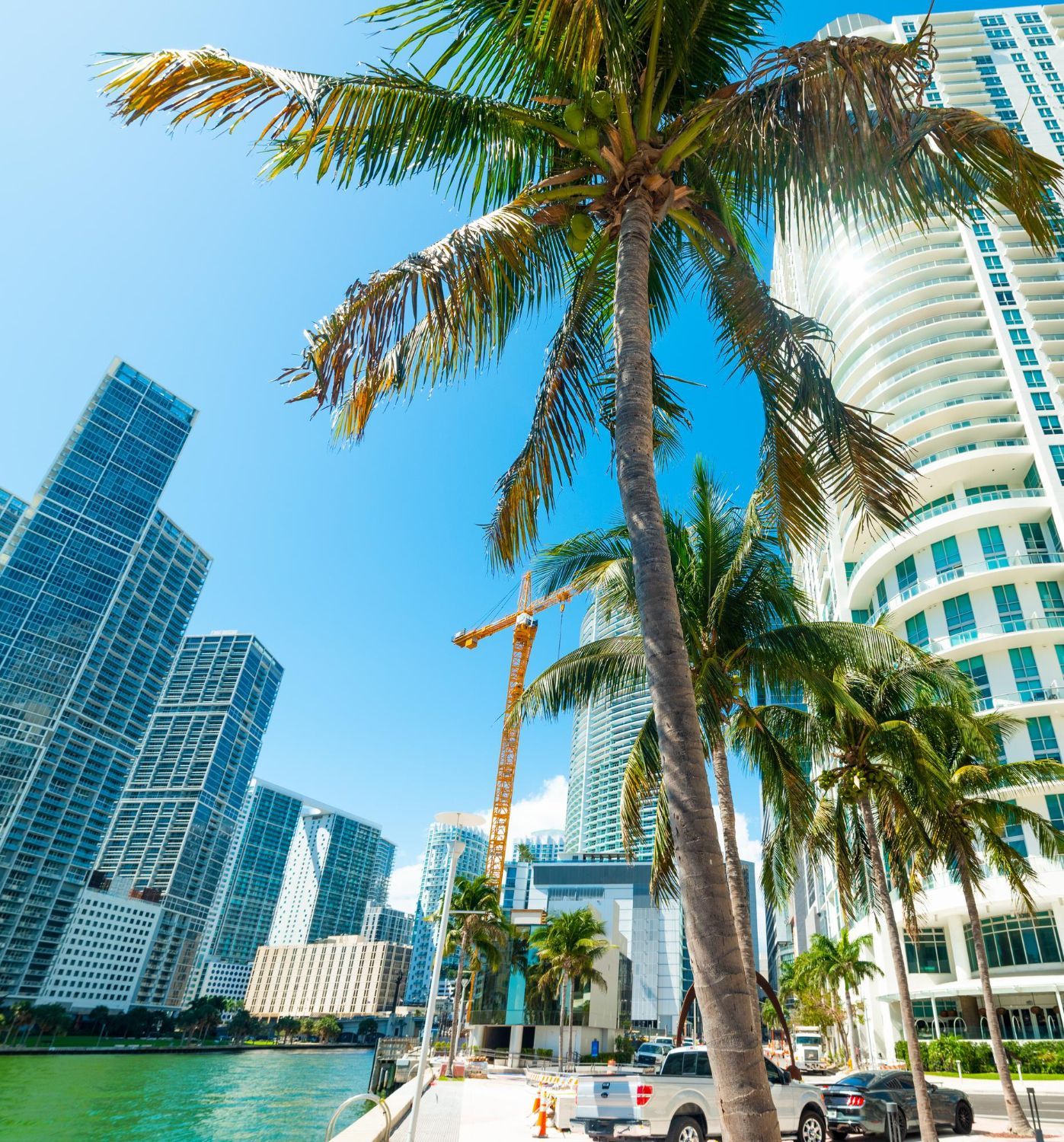 Palm trees beside modern waterfront high-rises under a clear blue sky, with cars on the street.