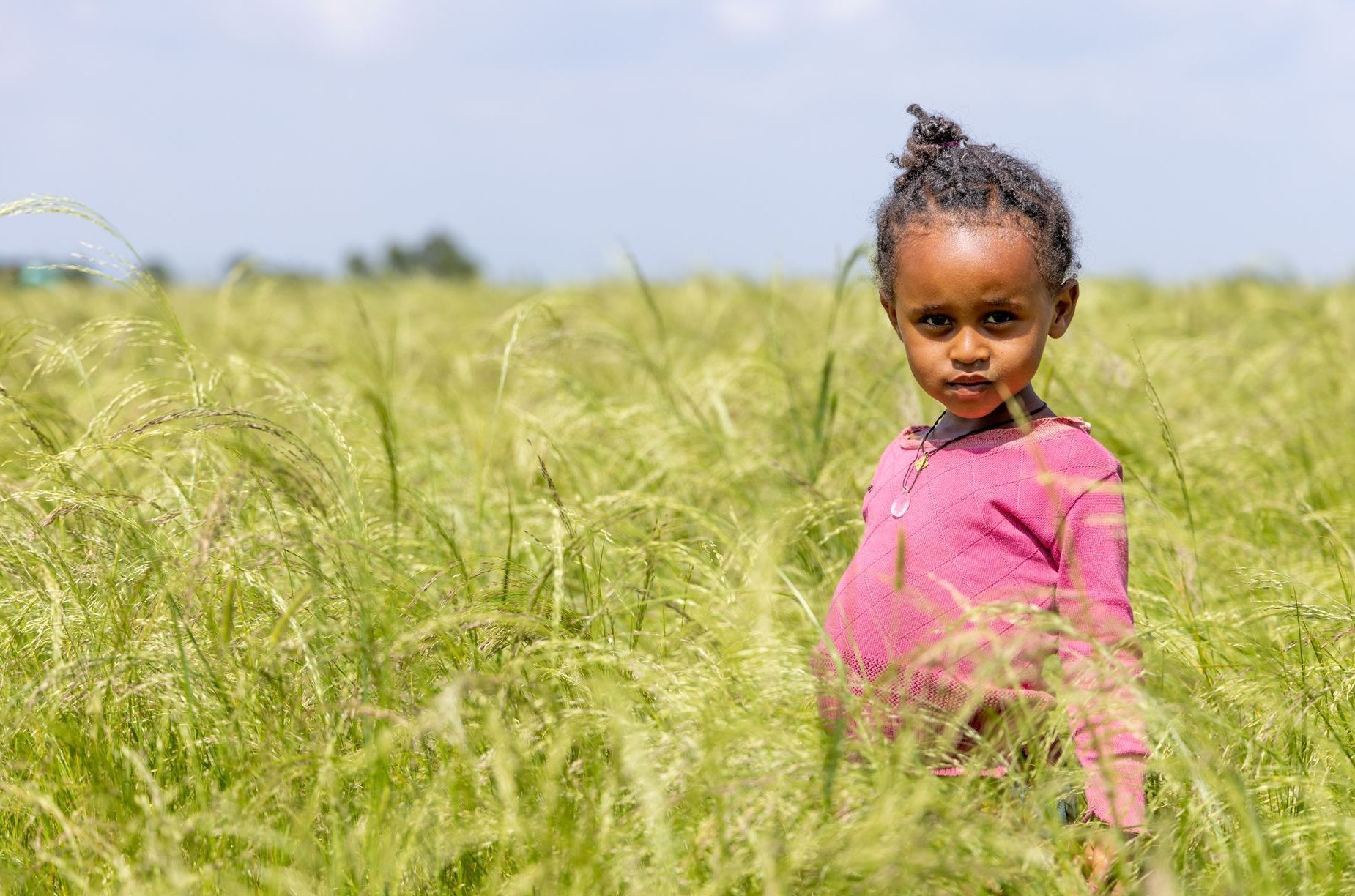 A little girl is standing in a field of tall grass.