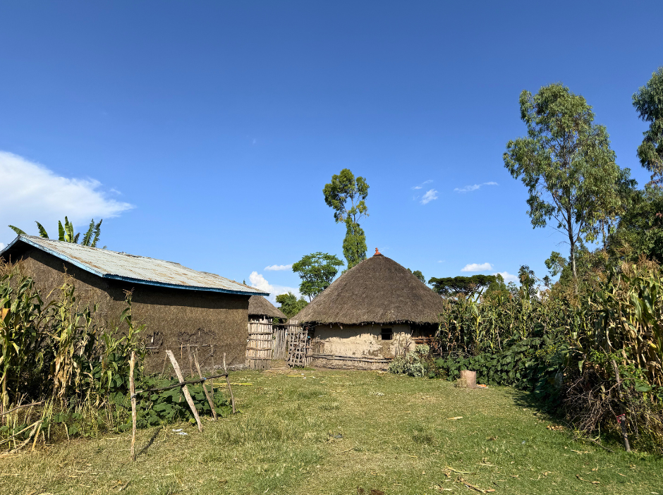 A small hut with a thatched roof is in the middle of a grassy field.