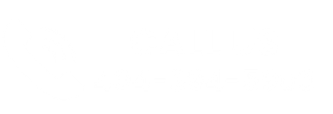 call us icon