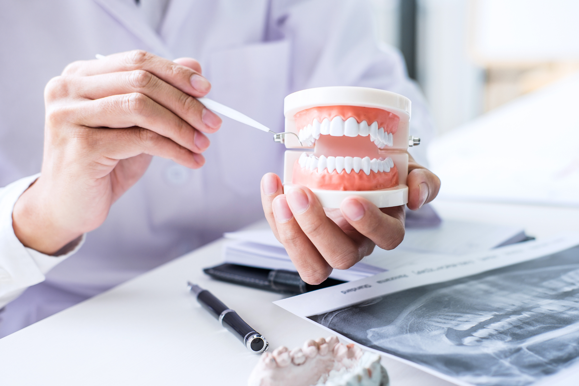 Dentist demonstrating dental model with tool beside X-ray and pen on desk