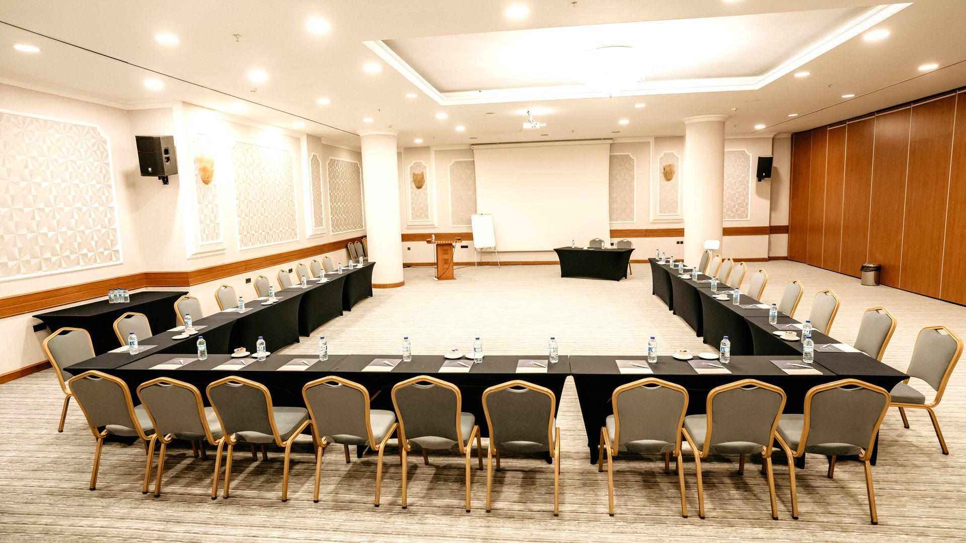 Ankara Plaza Otel Toplantı Salonu