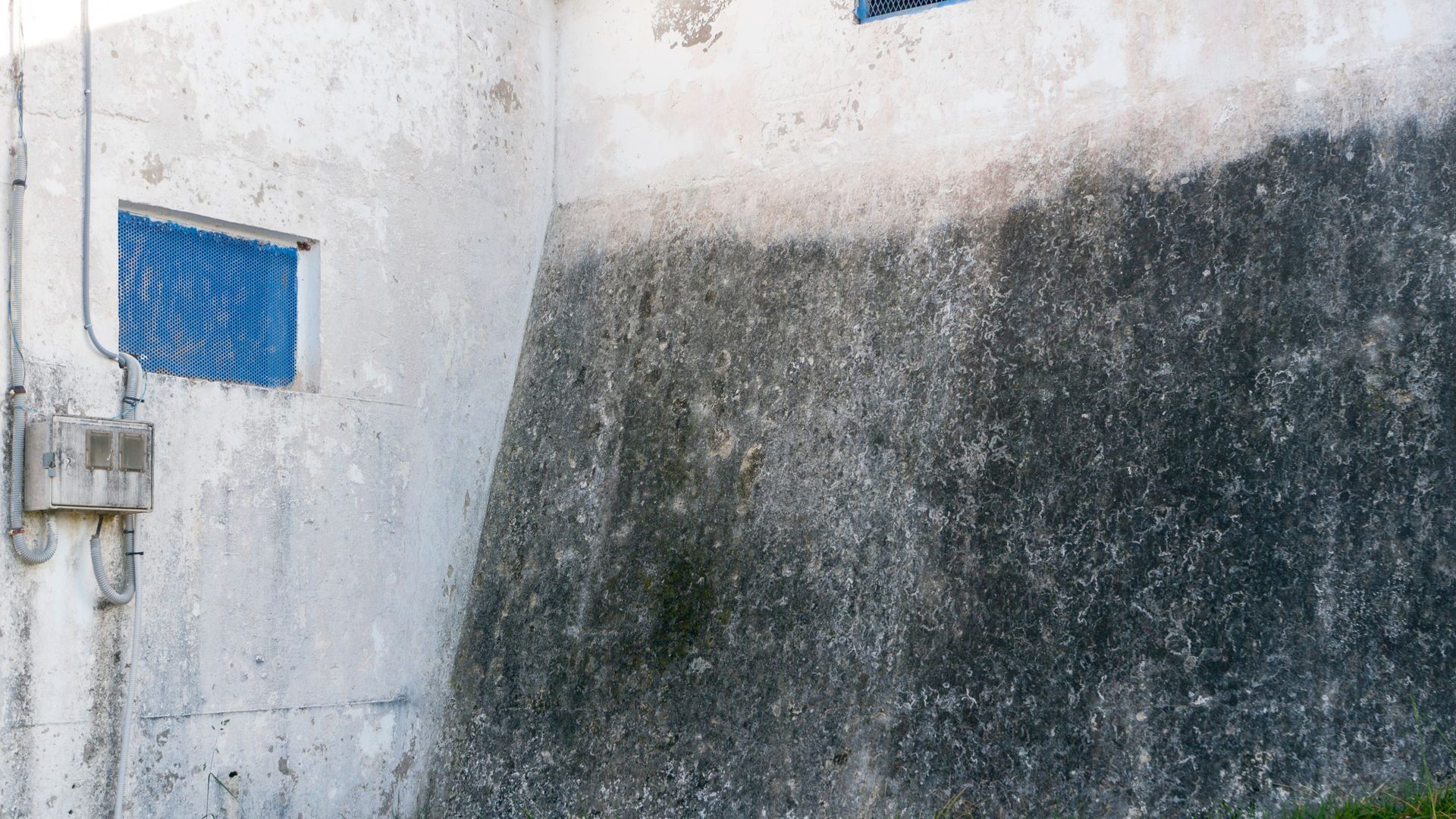 Blue window on a weathered white-and-dark exterior wall with peeling paint and stains.