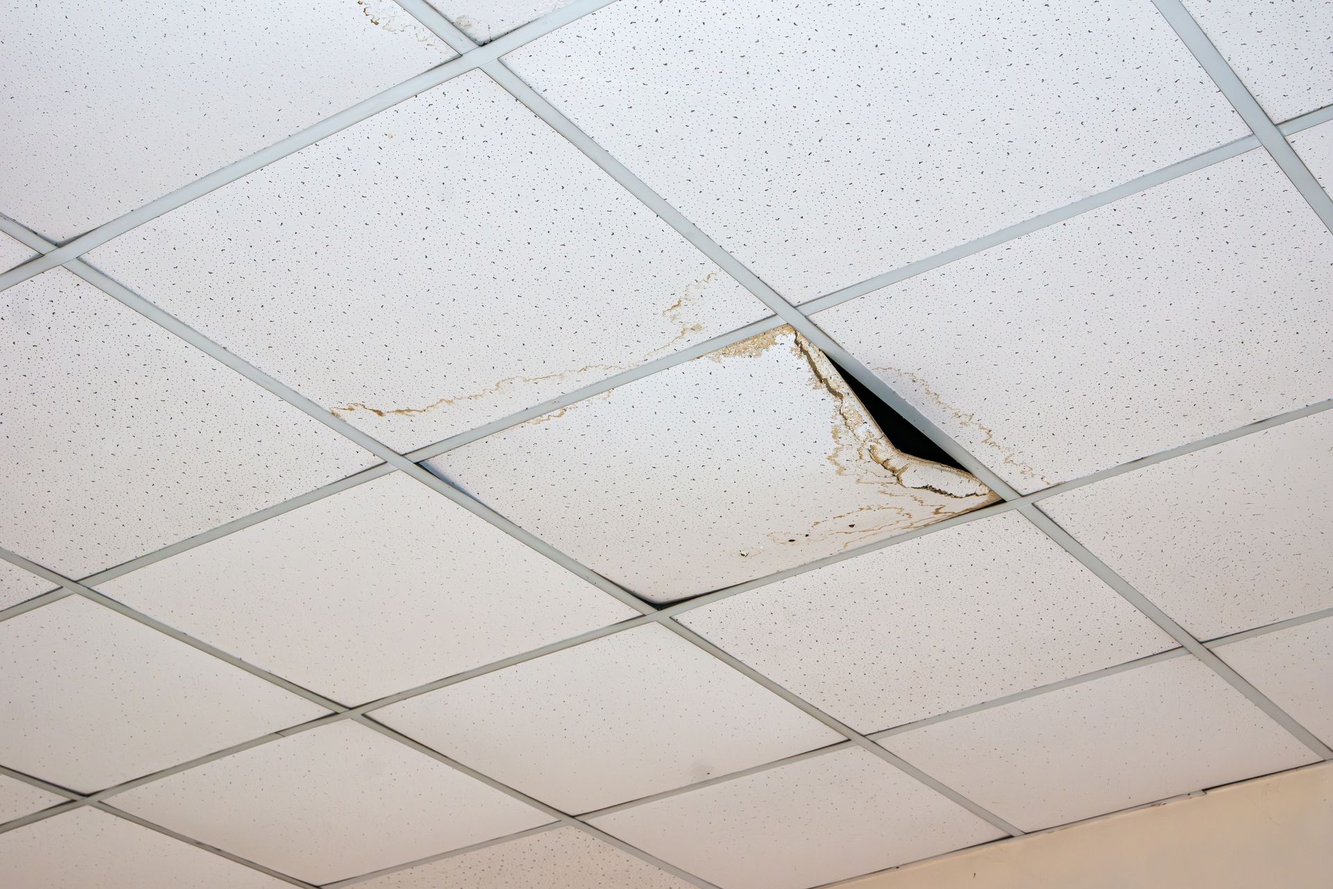 Damaged drop ceiling tile with a torn, hanging section and water stain