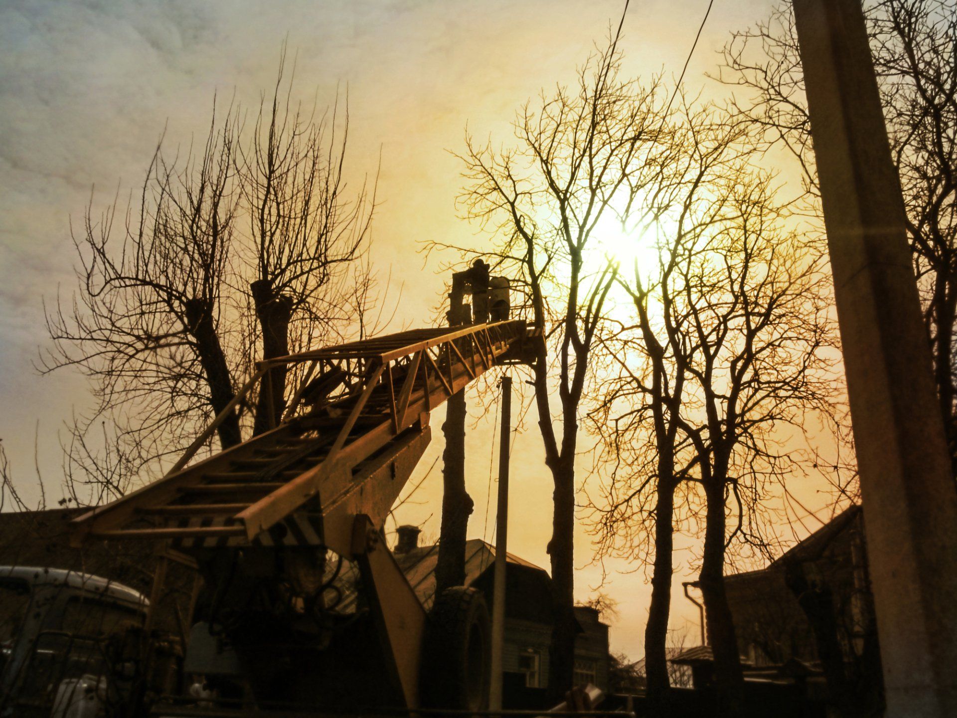 Silhouettes of Workers Pruning Tall Trees — Saint Petersburg, FL — On Demand Crane Service