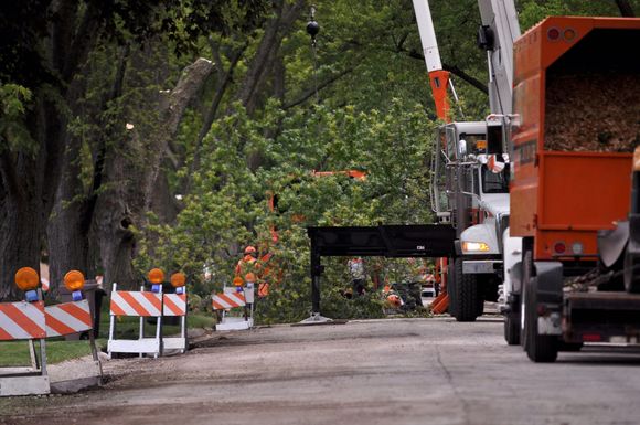 Tree cutting along the road - Brainerd, MN - AOS Tree Service Tree cutting along the road - Brainerd, MN - AOS Tree Service