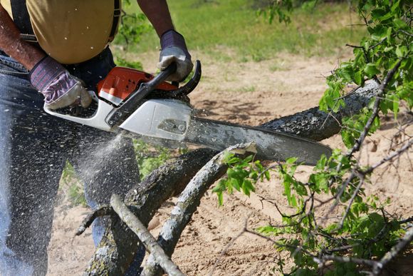 Tree cutting using chainsaw - Brainerd, MN - AOS Tree Service Tree cutting using chainsaw - Brainerd, MN - AOS Tree Service