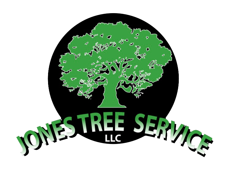 Jones Tree Service, LLC Top Rated Tree Service Jamestown, Indiana