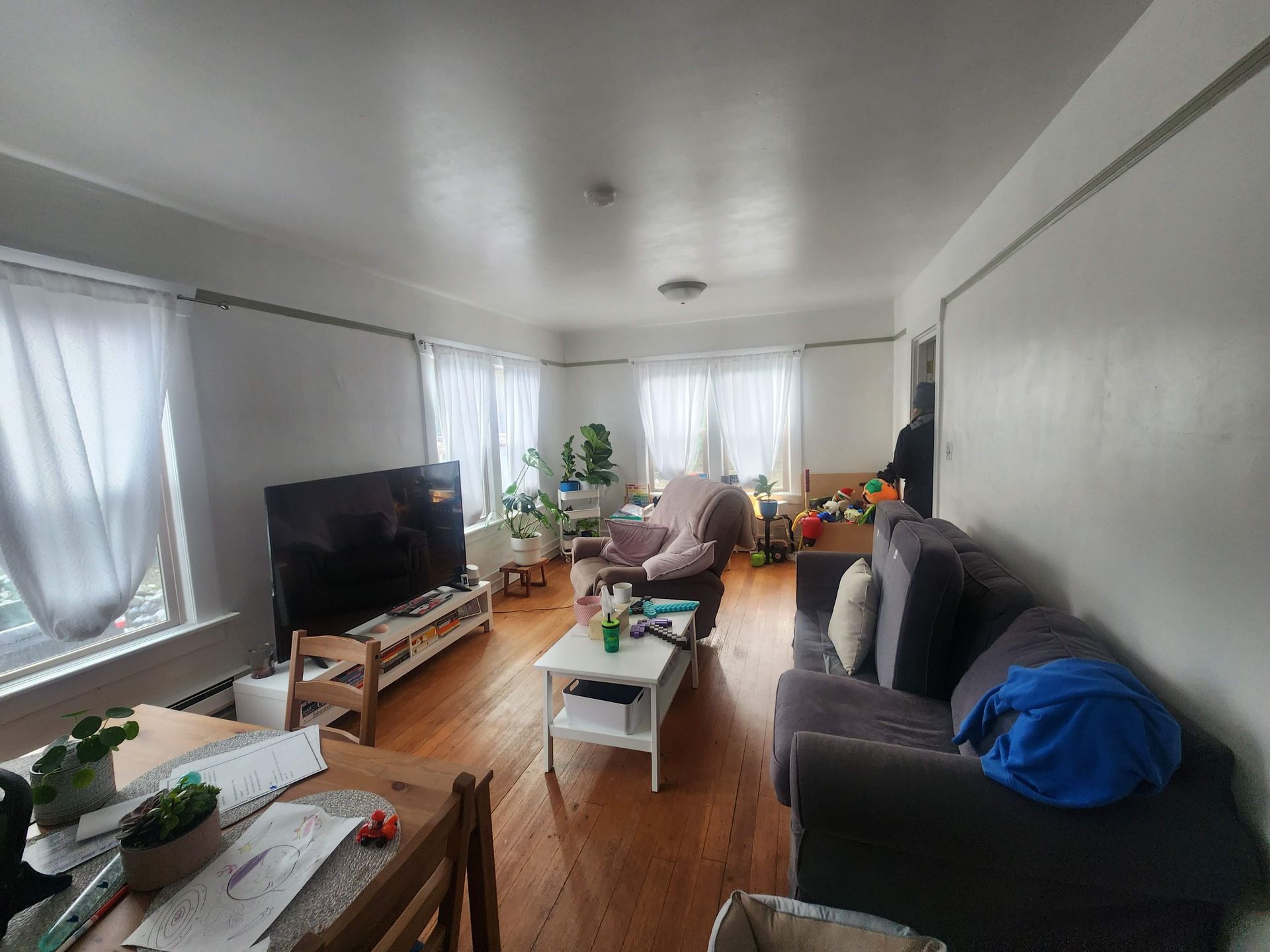 canal apts