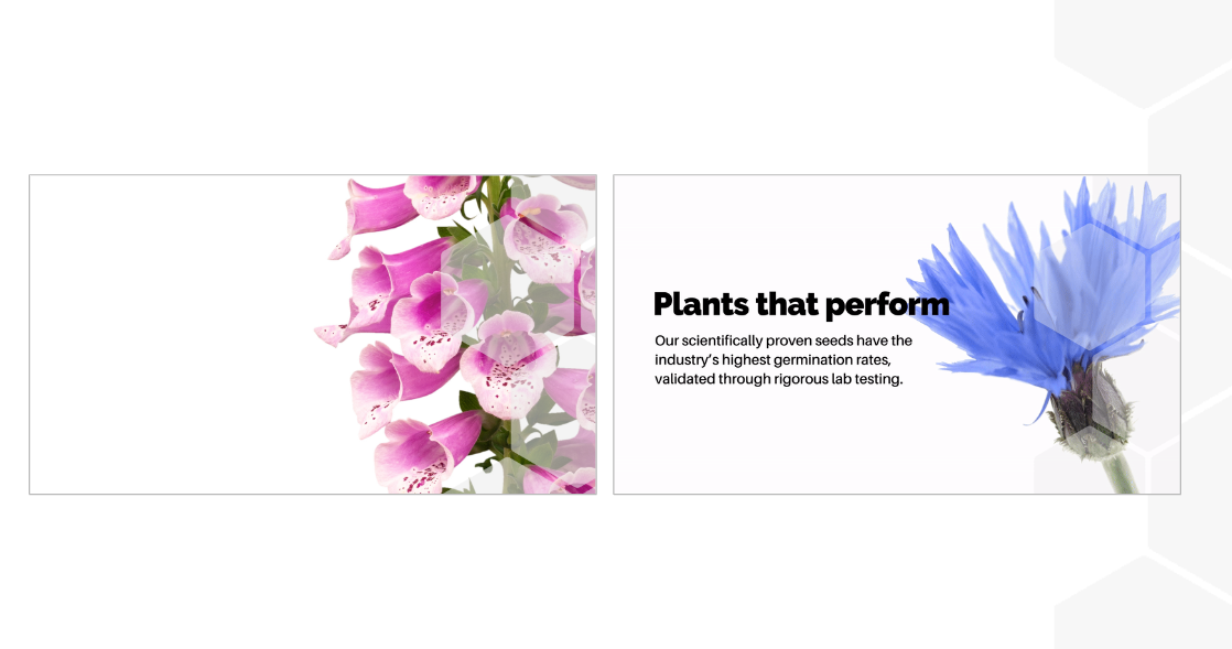 Promotional banner with pink and blue flowers and the text “Plants that perform”