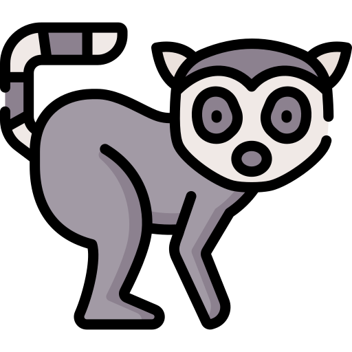 Black and White Lemurs