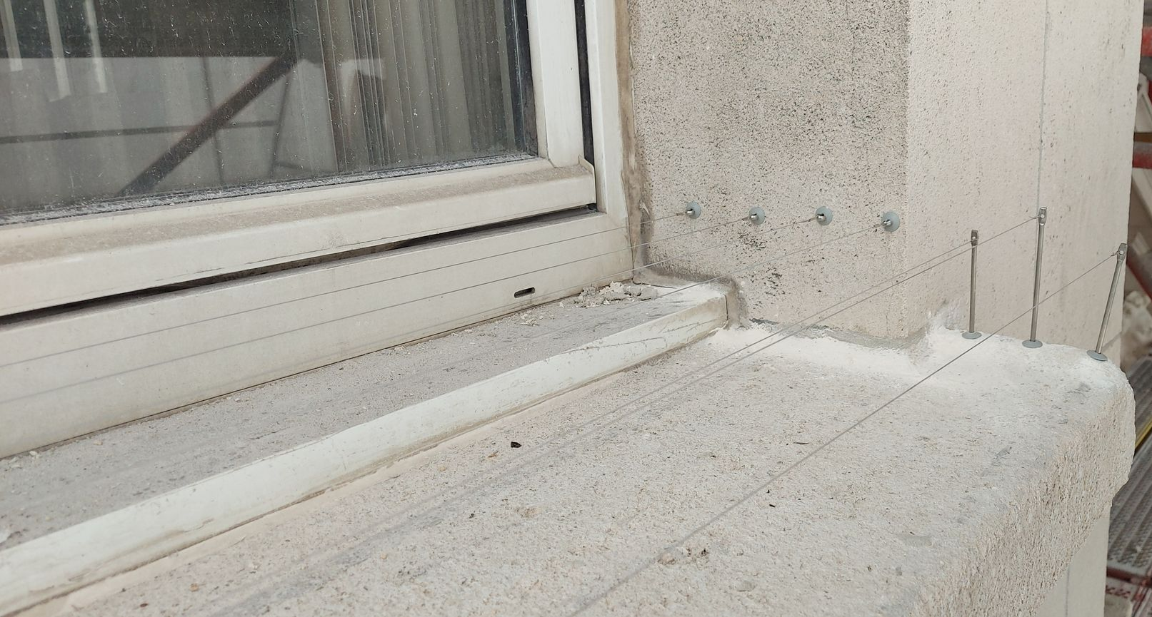 bird-wire geplaatst op vensterbank in Antwerpen door Killbugs