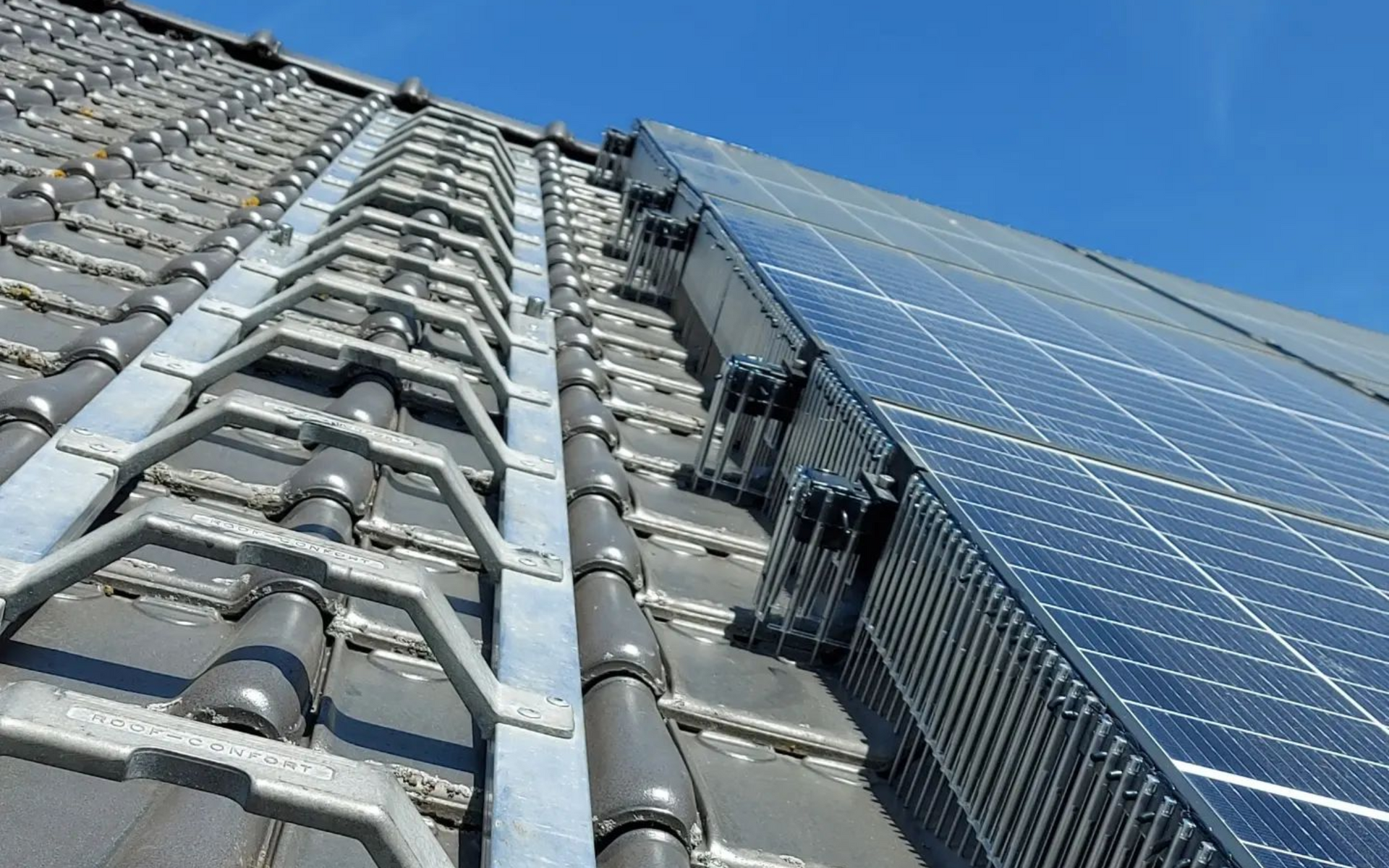 hoe duiven weren onder zonnepanelen