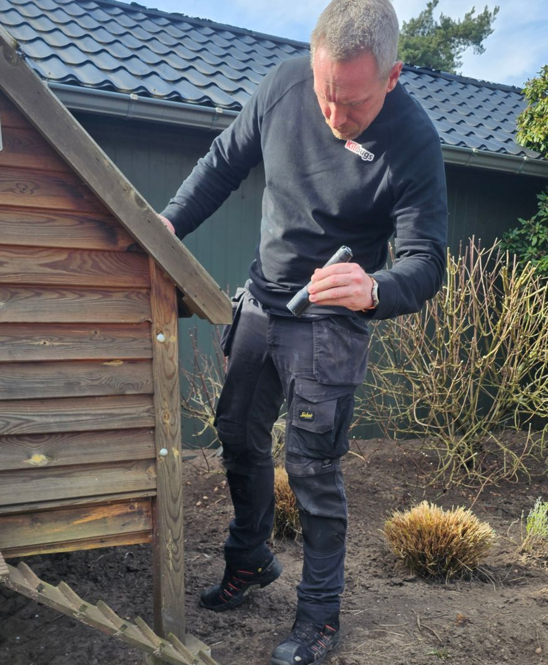inspectie naar rattensporen bij kippen in Limburg door Killbugs