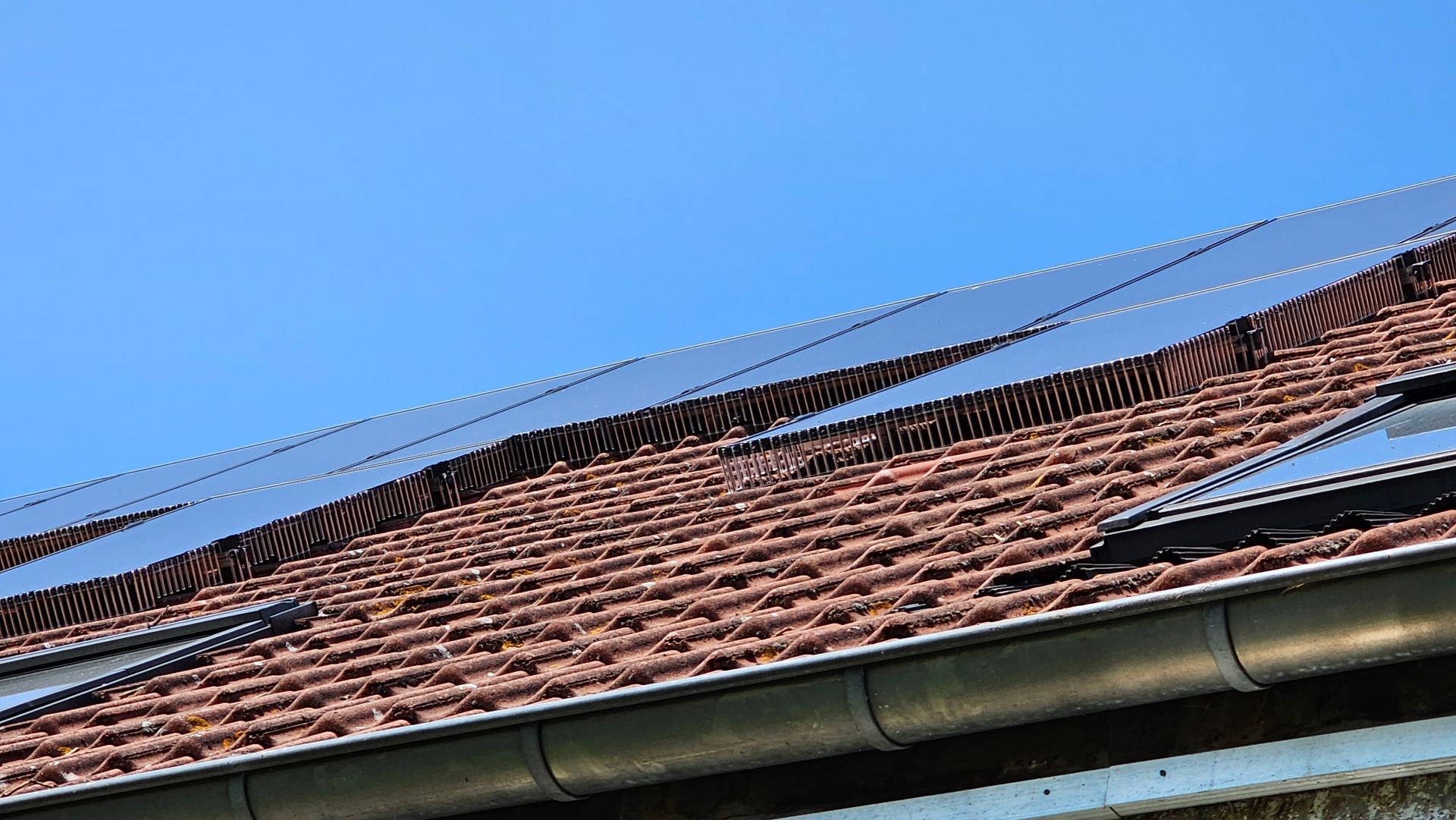 Vogelwering voor zonnepanelen geplaatst in Genk door killbugs