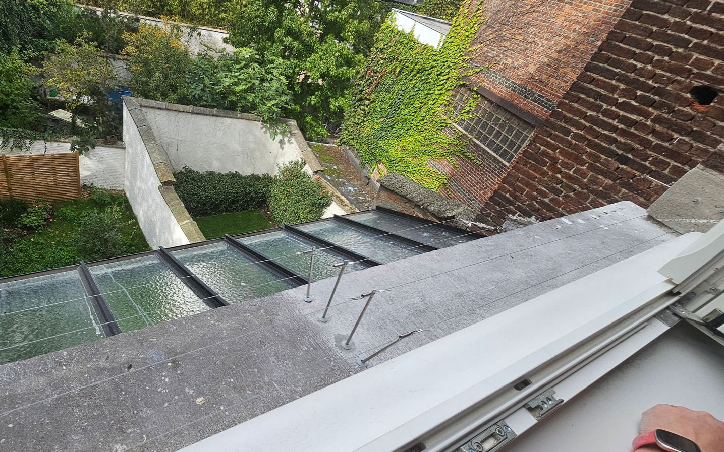 bird-wire geplaatst op vensterbank tegen duiven en kauwen