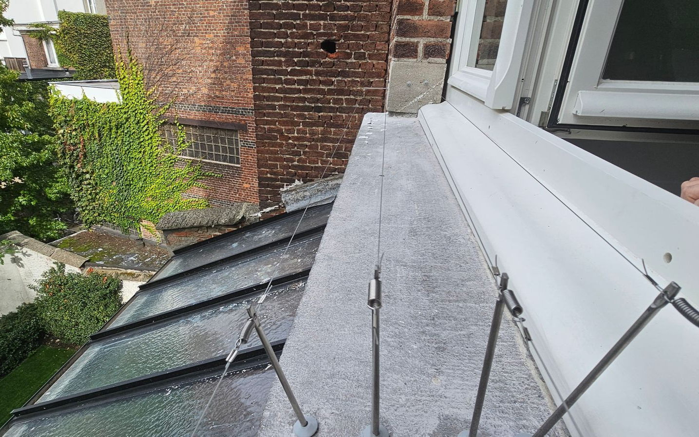 Bird-wire gemonteerd op vensterbank in Antwerpen