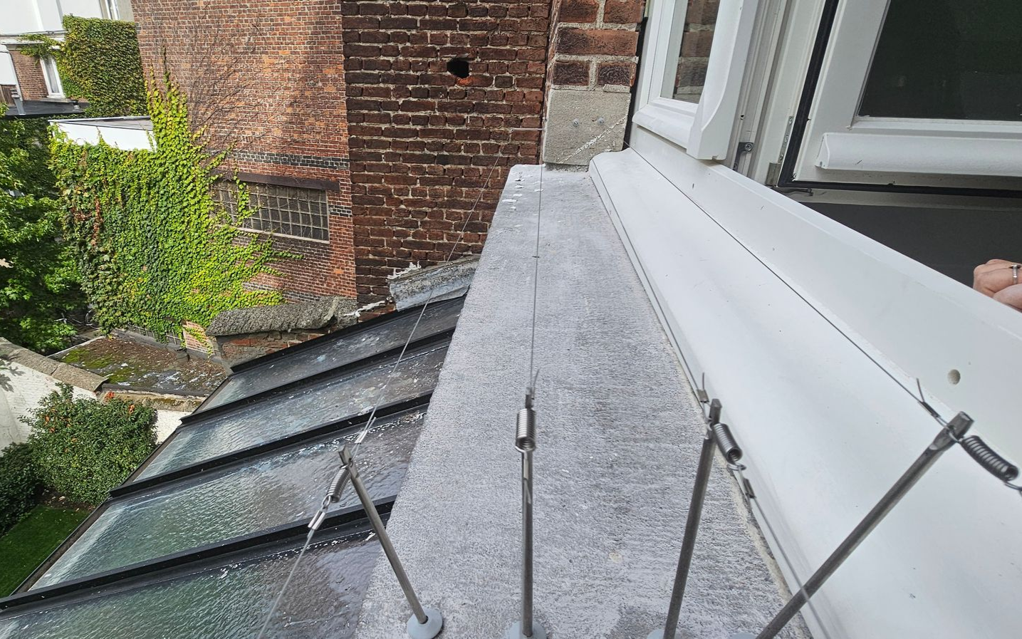 bird-wire geplaatst op vensterbank in Vlaams-Brabant